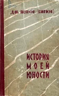 Дмитрий Петров-Бирюк История моей юности обложка книги