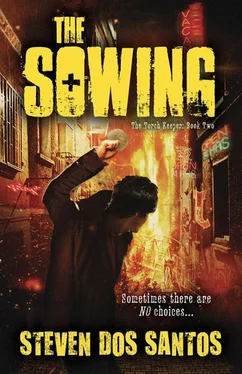 Steven dos Santos The Sowing обложка книги