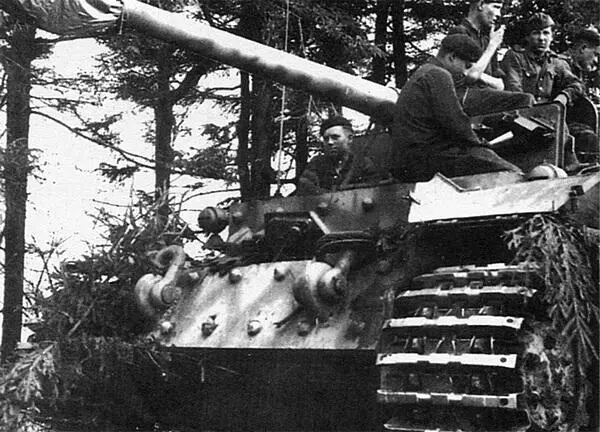 Фердинанд из 653го тяжёлого дивизиона истребителей танков на исходной - фото 156