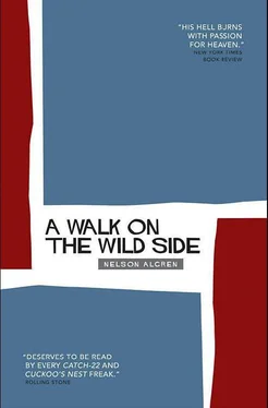 Nelson Algren A Walk on the Wild Side обложка книги