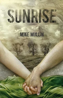 Mike Mullin Sunrise обложка книги