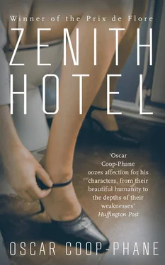Oscar Coop-Phane Zenith Hotel обложка книги