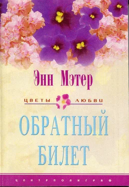 Энн Мэтер Обратный билет обложка книги