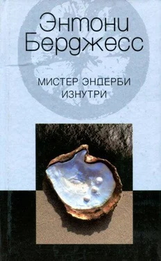 Энтони Берджесс Мистер Эндерби изнутри обложка книги