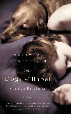 Carolyn Parkhurst The Dogs of Babel обложка книги