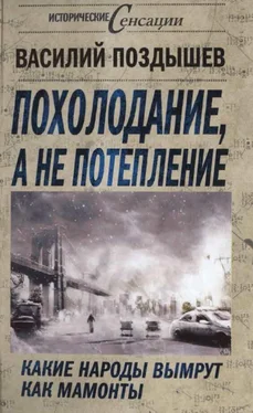 Василий Поздышев Похолодание, а не потепление обложка книги