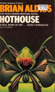 Brian Aldiss Hothouse, aka The Long Afternoon of Earth обложка книги