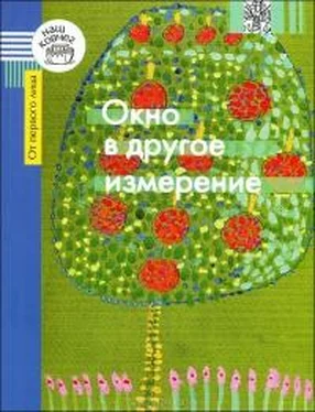 Галина Каган Окно в другое измерение обложка книги