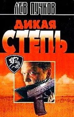 Лев Пучков Дикая степь обложка книги