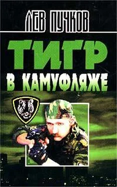 Лев Пучков Тигр в камуфляже обложка книги