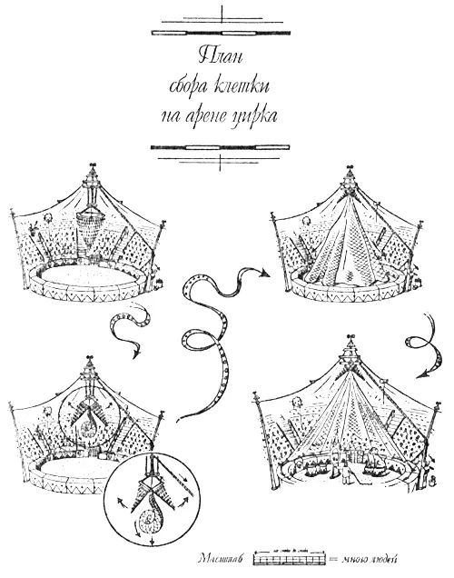 Поосторожнее Шарли сказал мальчику Маккомо Если львы вырвутся нам с - фото 8