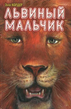 Зизу Кордер Львиный мальчик обложка книги