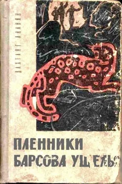 Вахтанг Ананян Пленники Барсова ущелья обложка книги