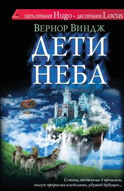 Вернор Виндж Дети неба обложка книги