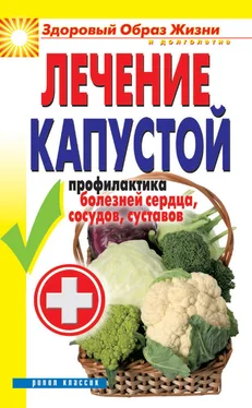 Ирина Зайцева Лечение капустой. Профилактика болезней сердца, сосудов, суставов обложка книги