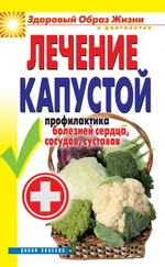 Ирина Зайцева - Лечение капустой. Профилактика болезней сердца, сосудов, суставов