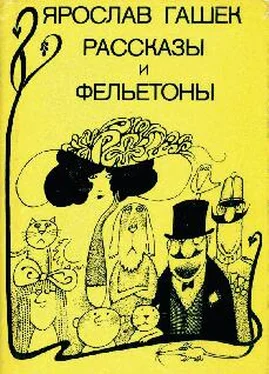 Ярослав Гашек Амстердамский торговец человечиной обложка книги