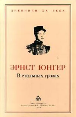 Эрнст Юнгер В стальных грозах обложка книги