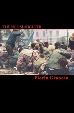 Florin Grancea The Pigs' Slaughter обложка книги