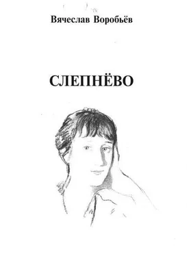 Вячеслав Воробьев Слепнёво обложка книги