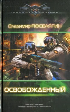 Владимир Поселягин Освобожденный обложка книги