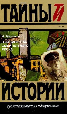 Михаил Михалков В лабиринтах смертельного риска обложка книги