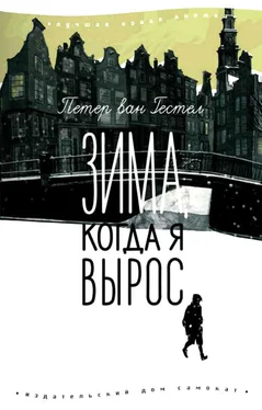 Петер Гестел Зима, когда я вырос обложка книги
