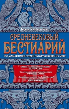 Теренс Уайт Средневековый бестиарий. Что думали наши предки об окружающем их мире обложка книги