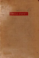 Бела Иллеш - Тисса горит