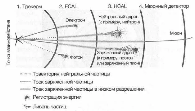 РИС 42 Обобщенная картина того как частицы Стандартной модели распознаются в - фото 42