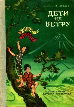 Дзёдзи Цубота Дети на ветру обложка книги