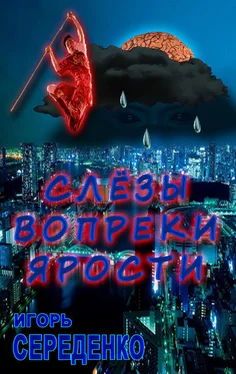 Игорь Середенко Слёзы вопреки ярости обложка книги