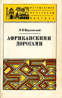 Владимир Иорданский Африканскими дорогами обложка книги