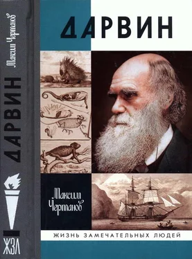 Максим Чертанов Дарвин обложка книги