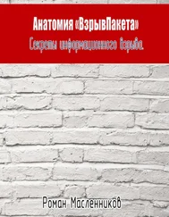 Роман Масленников - Анатомия «ВзрывПакета». Секреты информационного взрыва