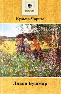 Кузьма Чорны Лявон Бушмар обложка книги