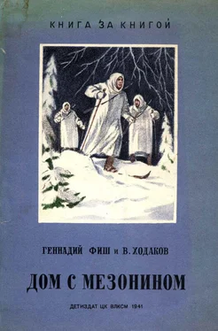 Геннадий Фиш Дом с мезонином обложка книги