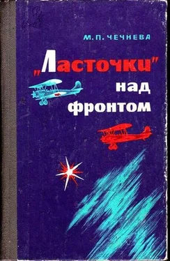 Марина Чечнева «Ласточки» над фронтом обложка книги
