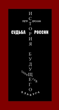 Петр Ерохин Судьба России. История будущего обложка книги