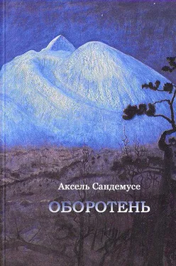 Аксель Сандемусе Оборотень обложка книги