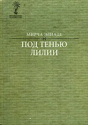 Мирча Элиаде - Даян