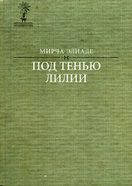 Мирча Элиаде Серампорские ночи обложка книги