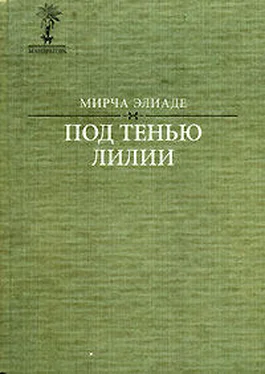 Мирча Элиаде Под тенью лилии… обложка книги