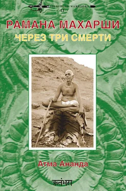 Атма Ананда Рамана Махарши: через три смерти обложка книги