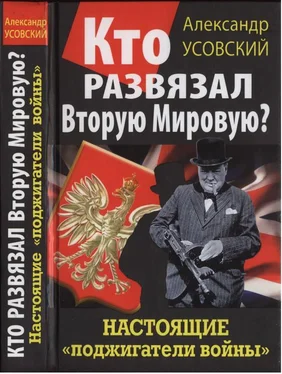 Александр Усовский Кто развязал Вторую Мировую? Настоящие «поджигатели войны» обложка книги