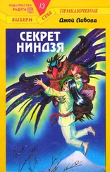 Джей Либолд - Секрет ниндзя