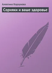 Алевтина Корзунова - Сорняки и ваше здоровье