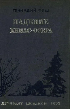 Геннадий Фиш Падение Кимас-озера обложка книги