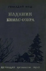 Геннадий Фиш - Падение Кимас-озера