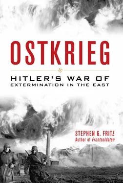 Stephen Fritz Ostkrieg обложка книги
